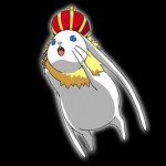 ★6KGラグー・ラビット